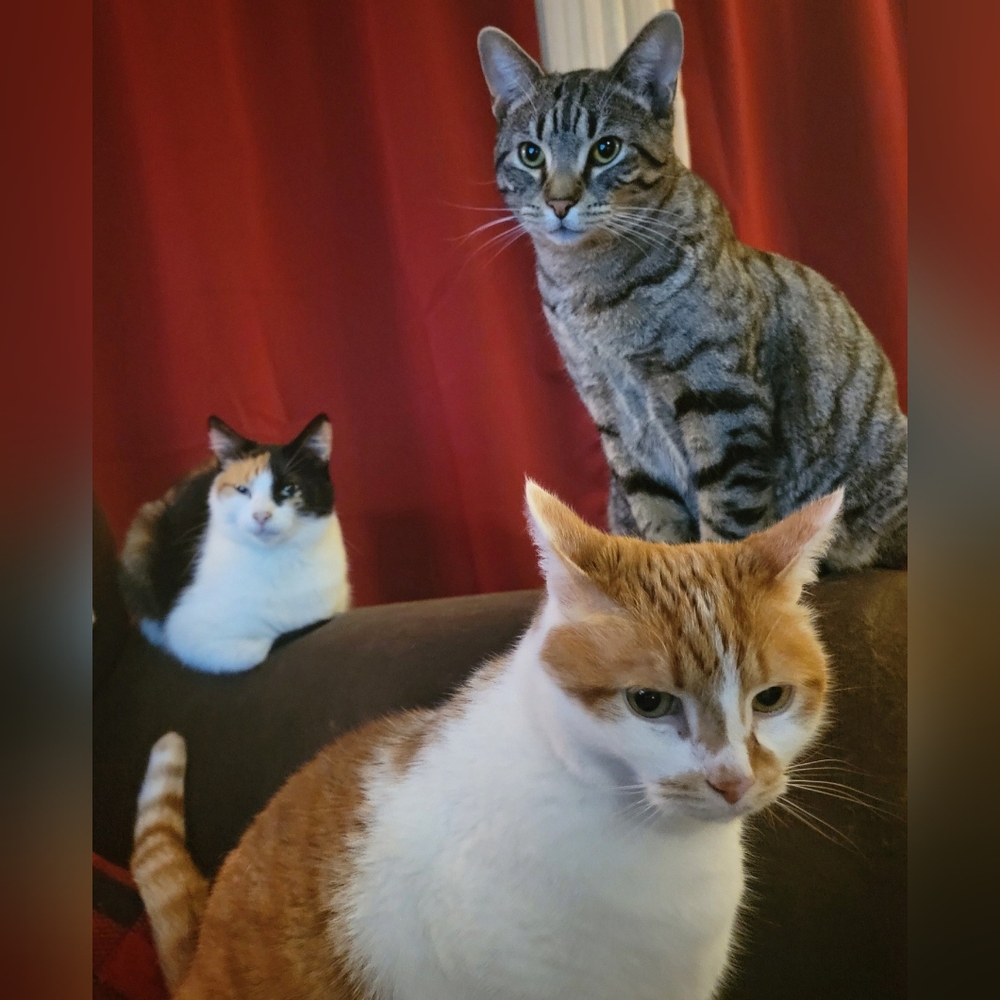 UPDATE Please Read - Picture 5 of 8